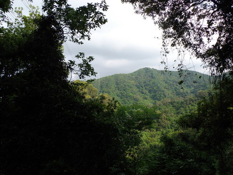 眺望遠(yuǎn)山