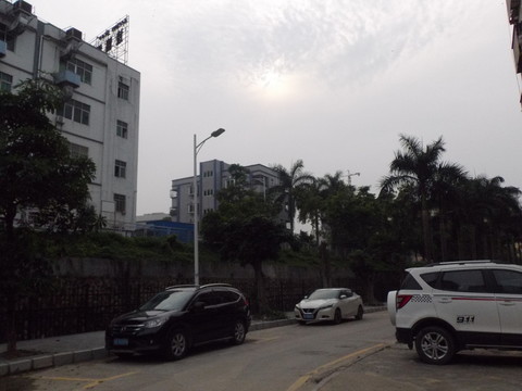 街頭風景