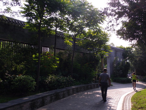 公園小道