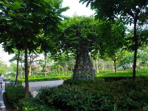 公園綠化風(fēng)景