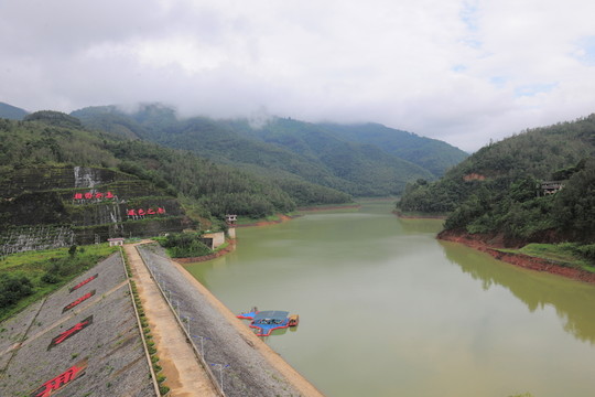 冰島茶