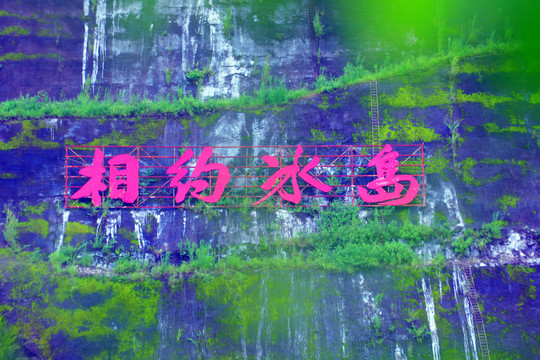 冰島茶
