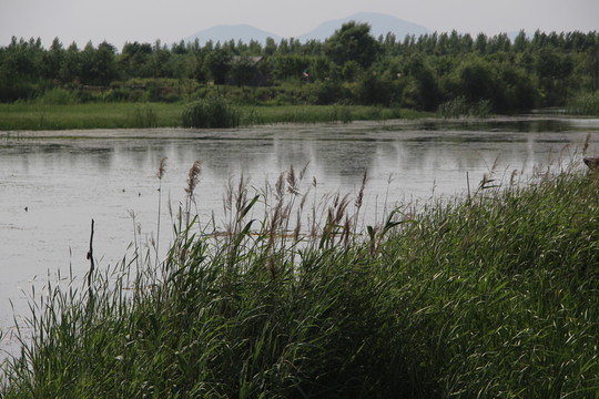 東平湖