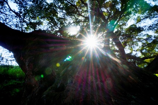 半月里畬族村