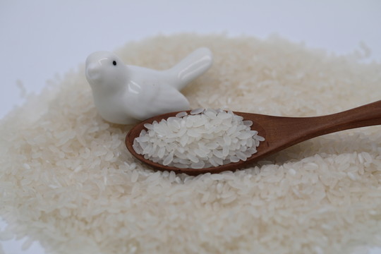 生米