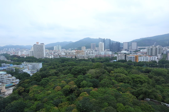 小區(qū)綠化