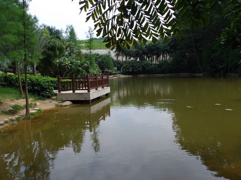 湖水風(fēng)景