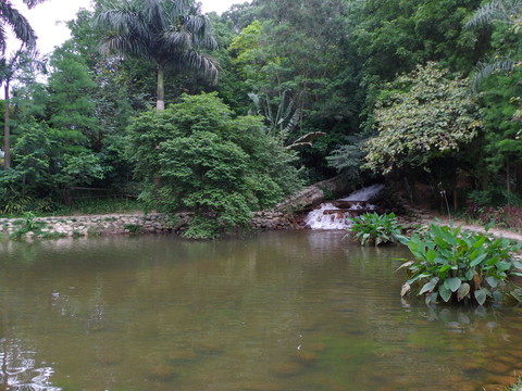 湖中風(fēng)景