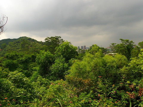 山中遠(yuǎn)望