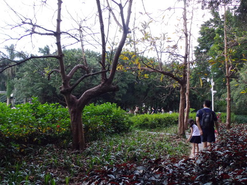 公園小景