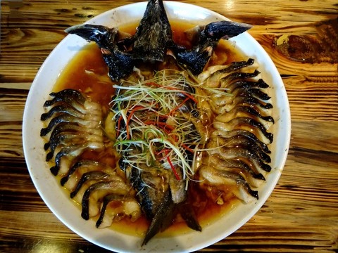 清蒸中華鱘