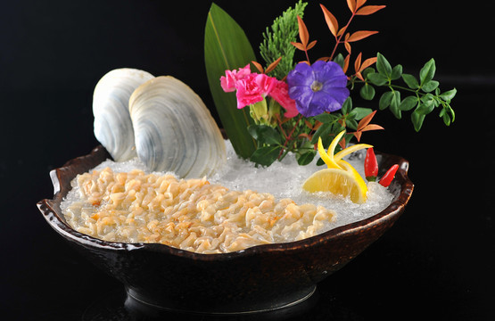 象鼻蚌