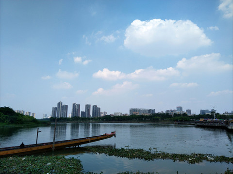 龍灣濕地公園