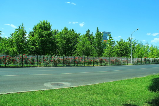 道路