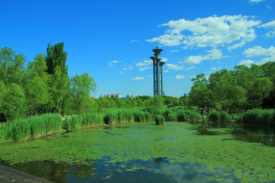 濕地公園