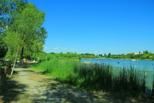 濕地公園