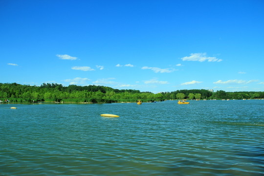 濕地公園
