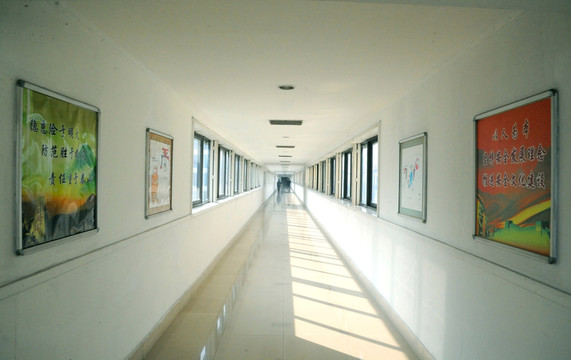 文化墻 企業(yè)