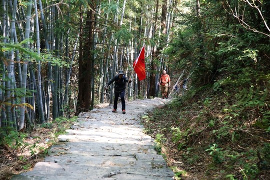 箬嶺古道山路