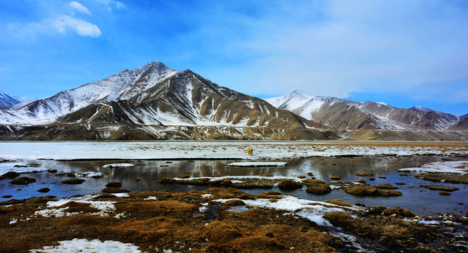新疆木吉火山口濕地