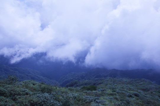 梵凈山風景