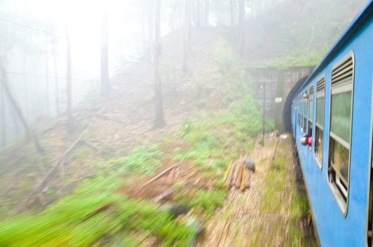 斯里蘭卡高山茶園火車
