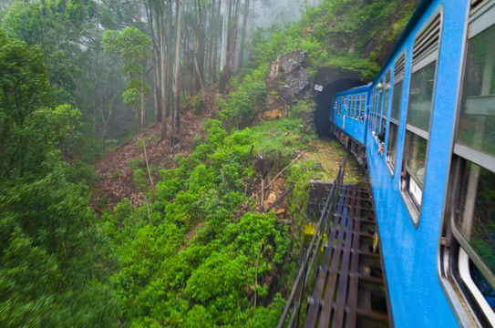 斯里蘭卡高山茶園火車