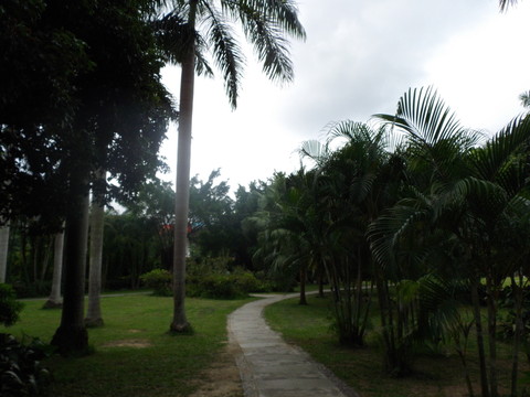 公園小徑