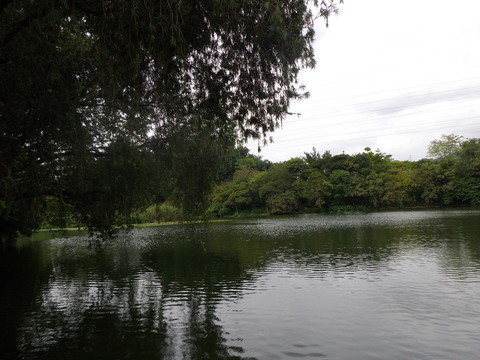 湖畔風(fēng)光