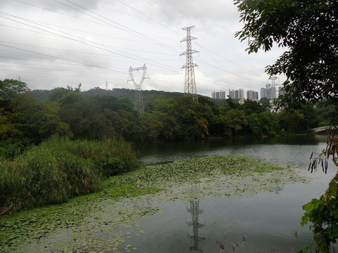 湖面風(fēng)景