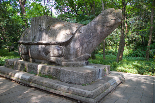 靈谷寺 石龜趺