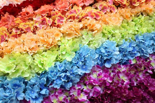 植物墻背景 花墻 花朵 花瓣
