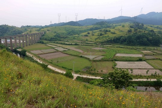 大悟風(fēng)景