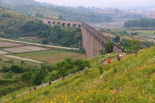 大悟風(fēng)景