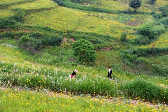 大悟風(fēng)景