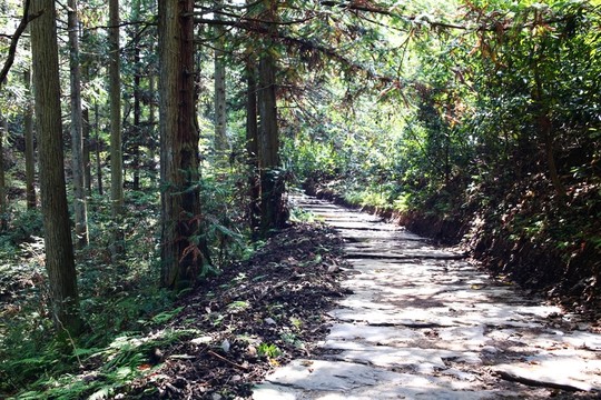 黃山箬嶺古道