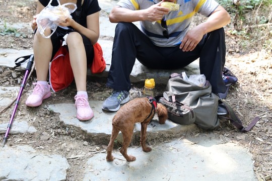 爬山途中休息的驢友