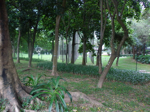 綠樹濃蔭