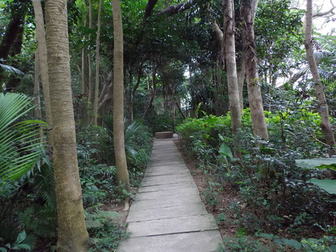 公園小徑