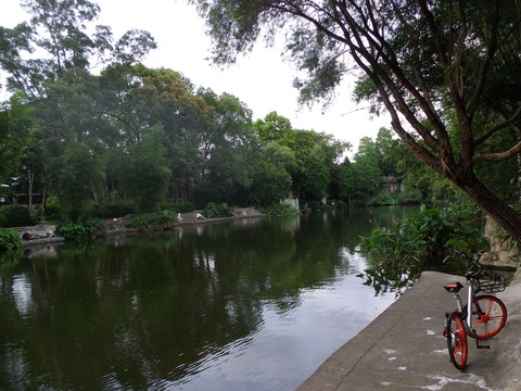 湖邊美景