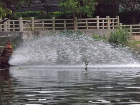 湖面噴水