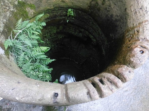 古井邊沿
