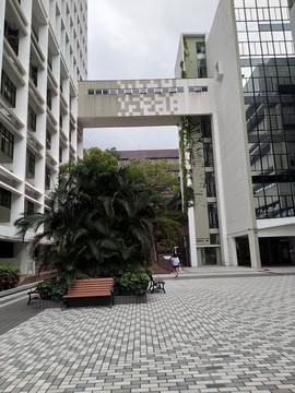 香港大學(xué)