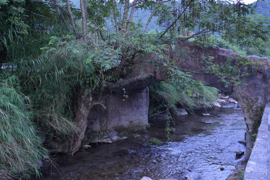 亞木溝
