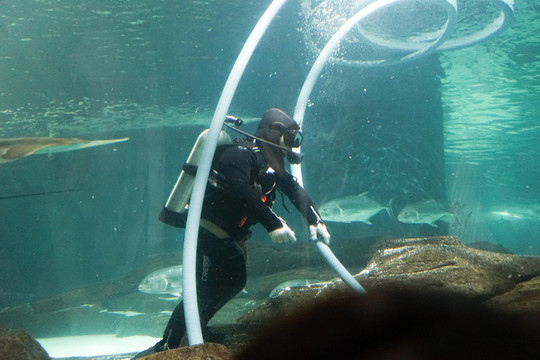 潛水員 海洋館