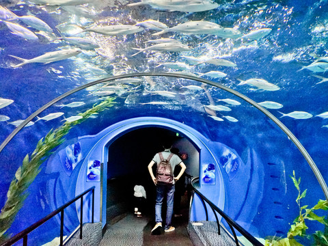 海底世界 海洋館