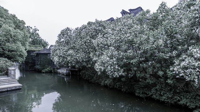 中國古鎮(zhèn)