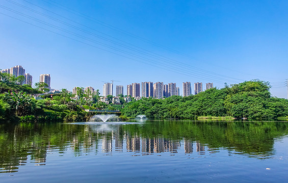 濕地公園