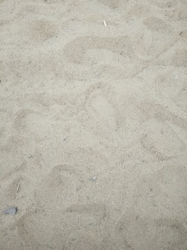 黃金海岸