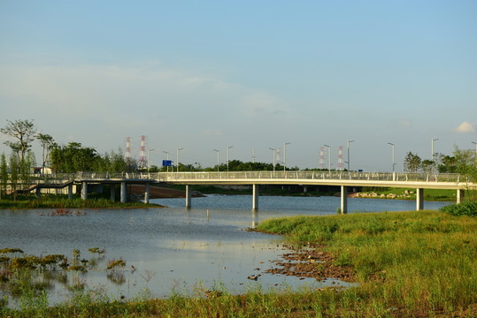江門北新區(qū) 橋